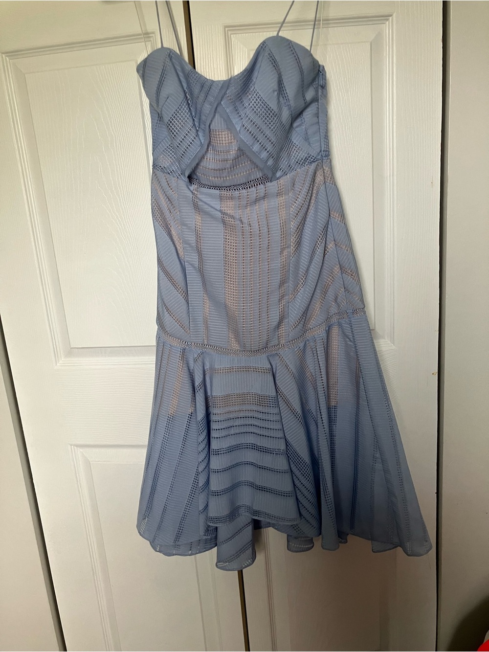 Acler Strapless Powder Blue Mesh Fit & Flare Dress